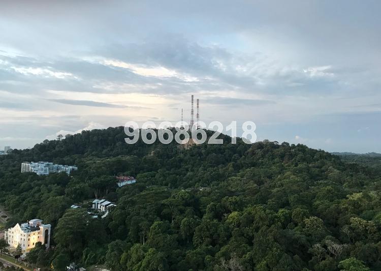 Beauty World Centre (D21), Apartment #172111252